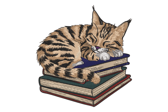 Cozy Cat on Books
