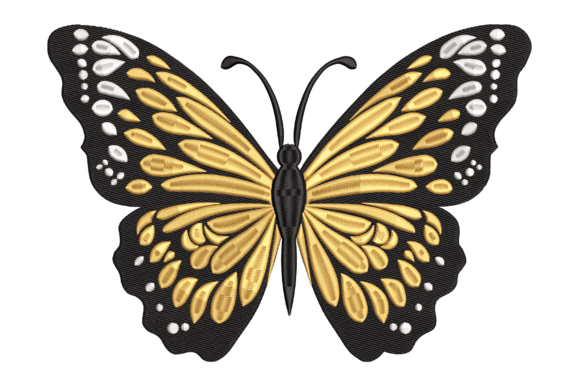 Elegant Monarch Butterfly