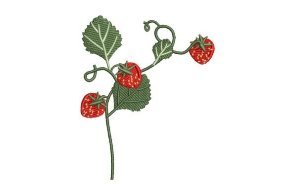 Strawberry Vine Embroidery Review